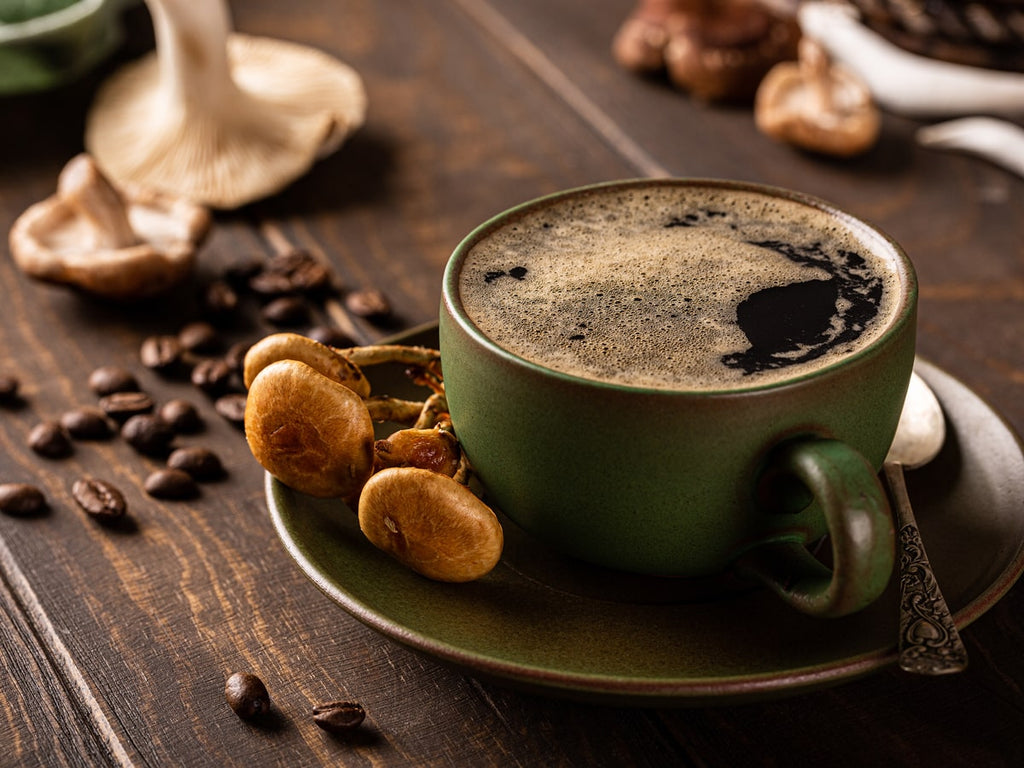 What are the Benefits of Mushroom Coffee?
