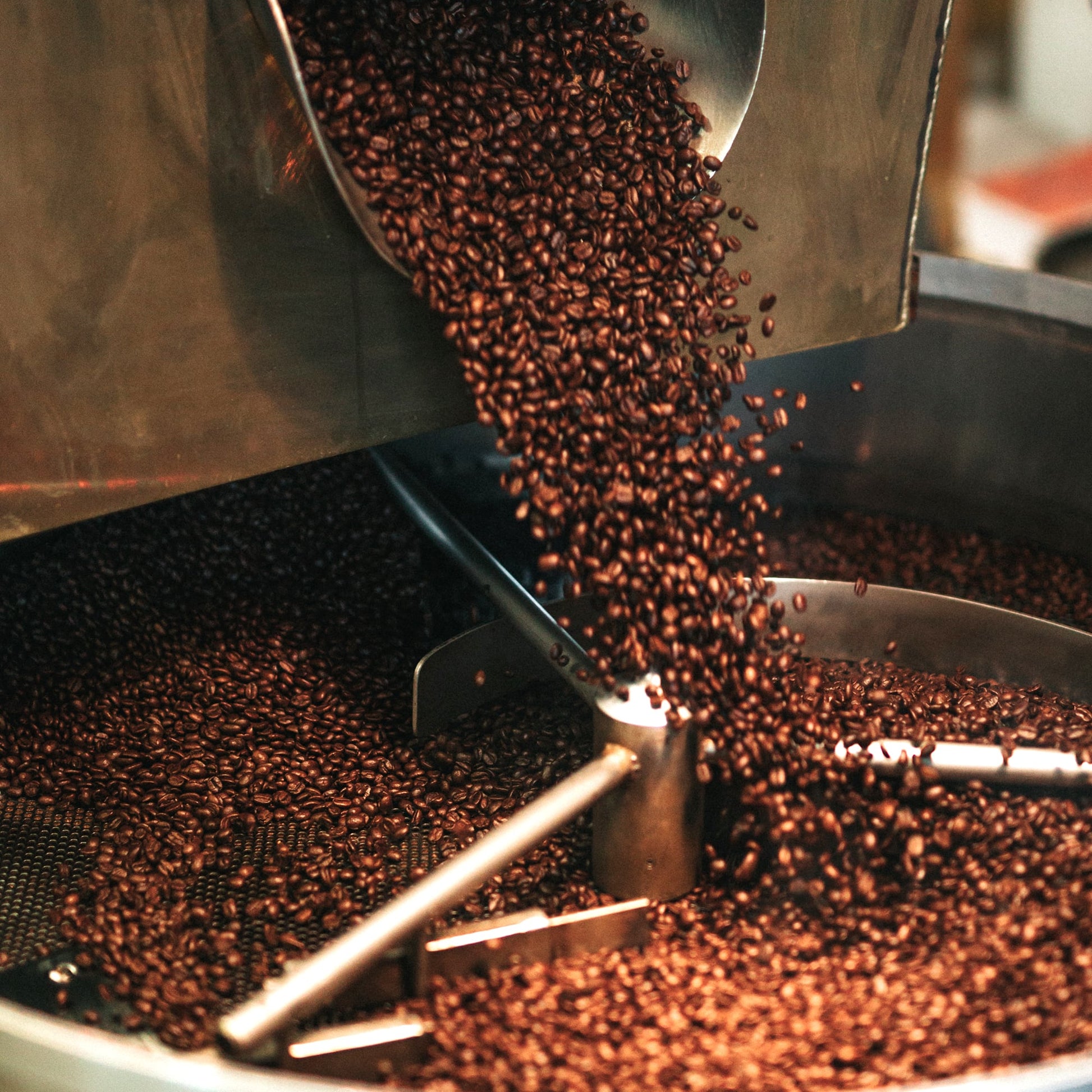 Breakfast Blend Medium Roast Whole Bean Coffee, Speciality Coffee Beans, Fresh Roasted