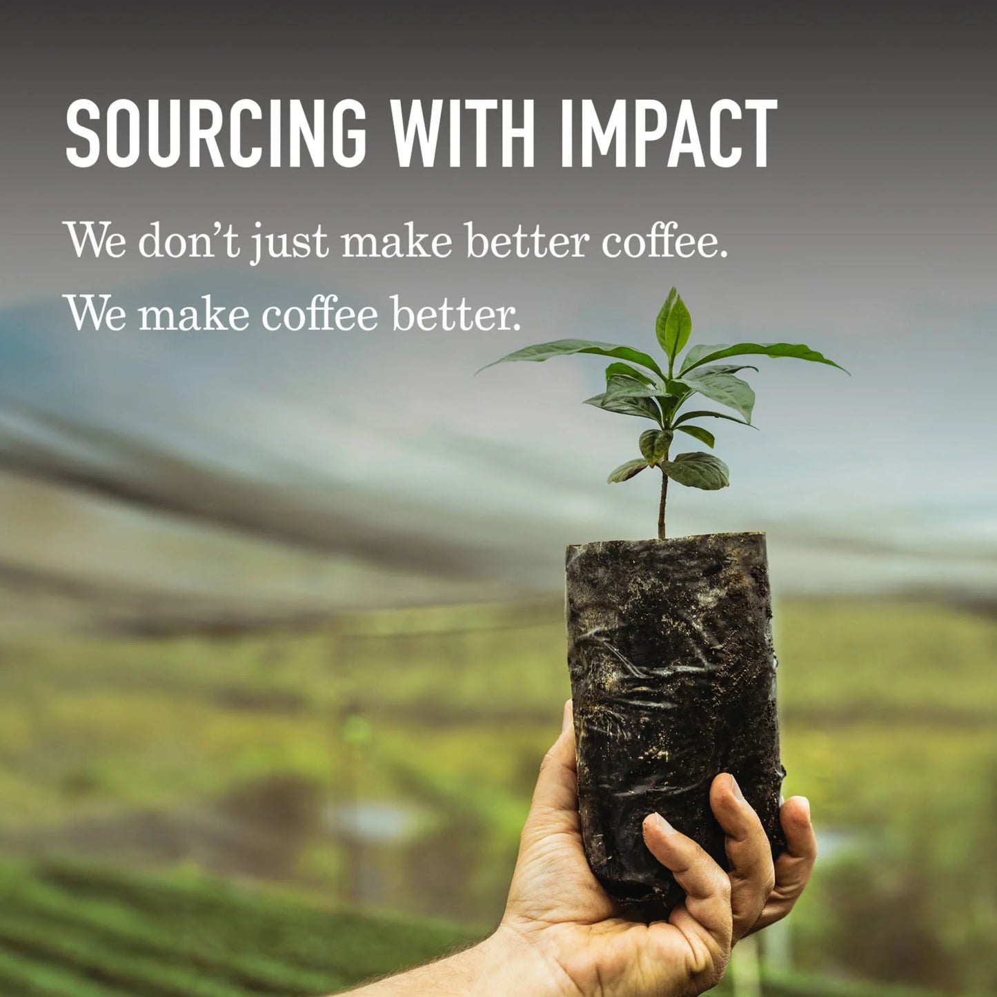 Peet's Coffee Organic French Dark Roast Ground Coffee