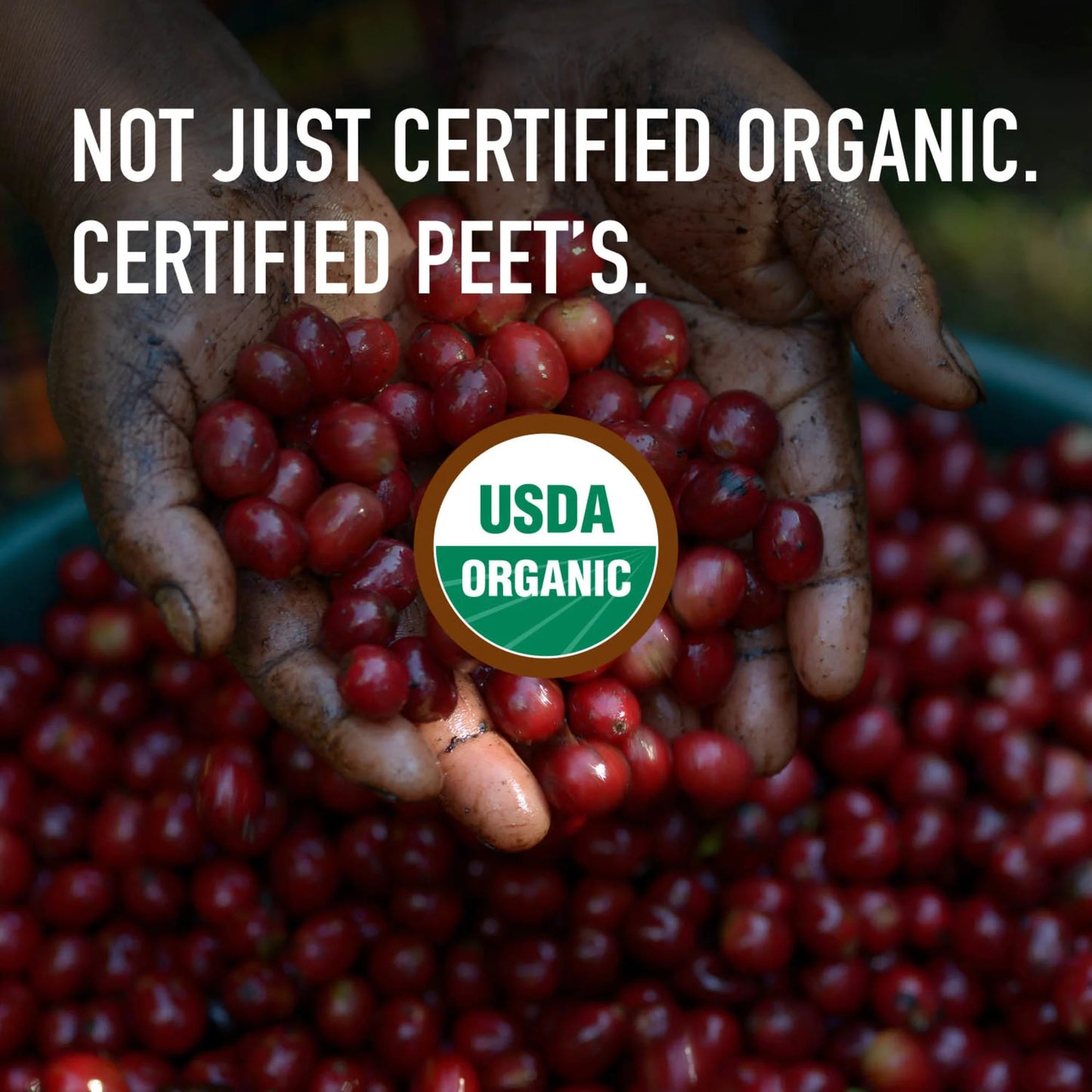 Peet's Coffee Organic French Dark Roast Ground Coffee