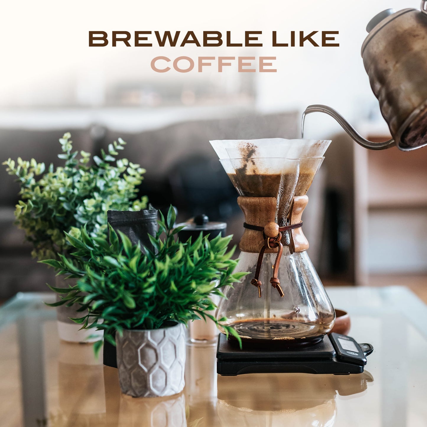 Ayurvedic Roast Hazelnut, Organic Coffee Substitute Caffeine Free Grain Coffee