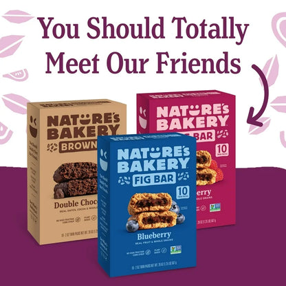 Nature's Bakery Original Fig Bars, 10 Twin packs, Soft Baked Snack Bars, 2 oz